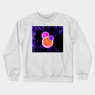 Blue orange Crewneck Sweatshirt